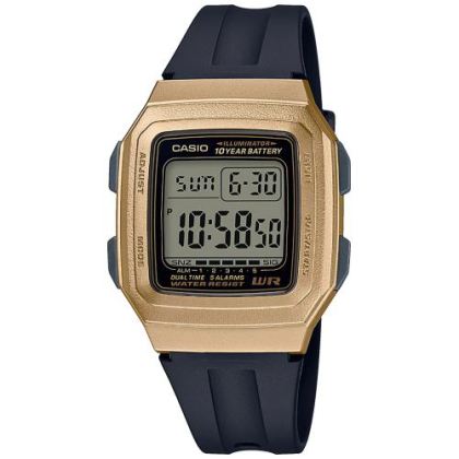 CASIO F-201WAM-9AVEF